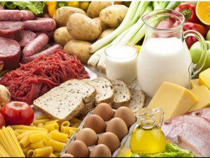 Lose Belly Fat With High Protein Meal Plan