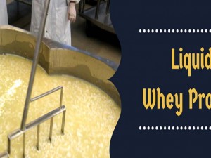 MANUFACTURING OF WHEY PROTEIN