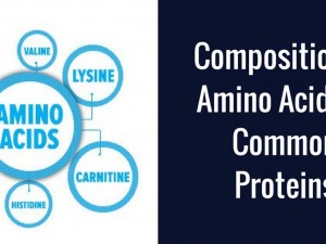 THE AMINO ACID PROFILE OF DIFFERENT TYPES OF PROTEINS