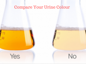 WHY IS THE URINE COLOUR IMPORTANT?