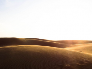 PREVENTING HEAT RELATED ILLNESSES, ARE YOU A VICTIM TOO?