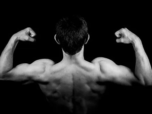 GET SET FOR THE PARTY SEASON WITH MASS GAINERS!